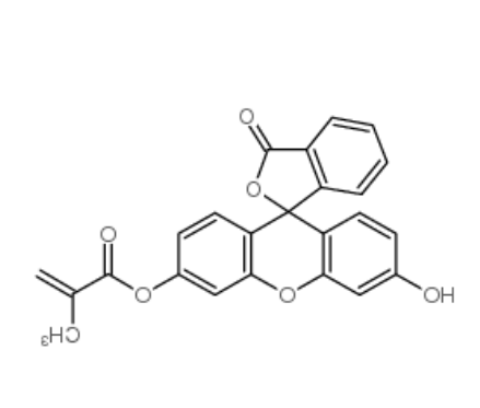 荧光素O-甲基丙烯酸酯	 