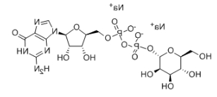GDP-甘露糖，GDP-Man，CAS号：103301-73-1