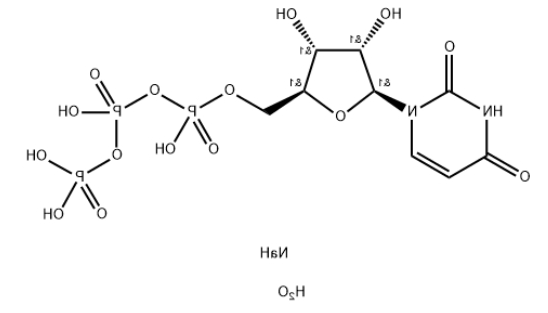 尿苷-5'-三磷酸三钠盐二水合物，CAS号：116295-90-0
