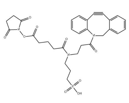 Sulfo-DBCO-NHS ester 