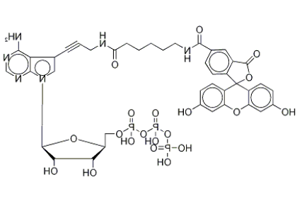 Fluorescein Alkynylamino-ATP 