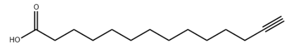 Alkynyl-Myristic-Acid，CAS号：82909-47-5，13-十四炔酸