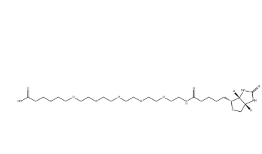 1352814-10-8，(+)-Biotin-PEG6-CH2CH2COOH