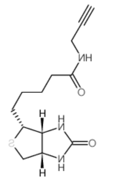 Biotin alkyne 