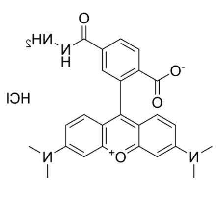 	TAMRA hydrazide (6-isomer)