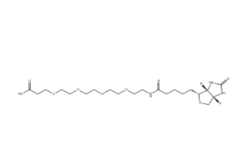 721431-18-1，(+)-Biotin-PEG4-CH2CH2COOH