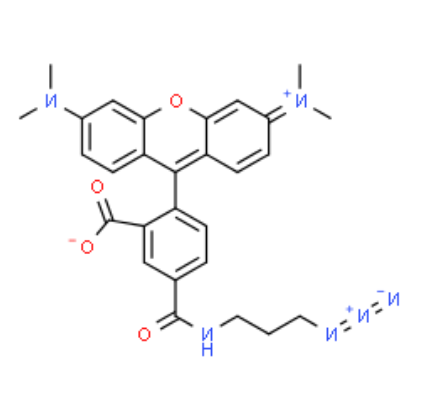 四甲基罗丹明 叠氮化物,5-异构体	 
