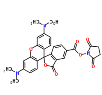5(6)-羧基四甲基罗丹明琥珀酰亚胺酯	 