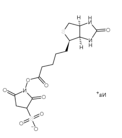 生物素 3-磺酸基-N-羟基琥珀酰亚胺钠盐 
