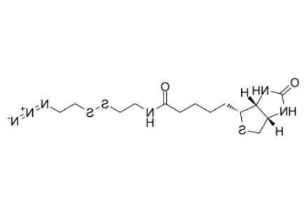 Azide-C2-SS-C2-biotin	 