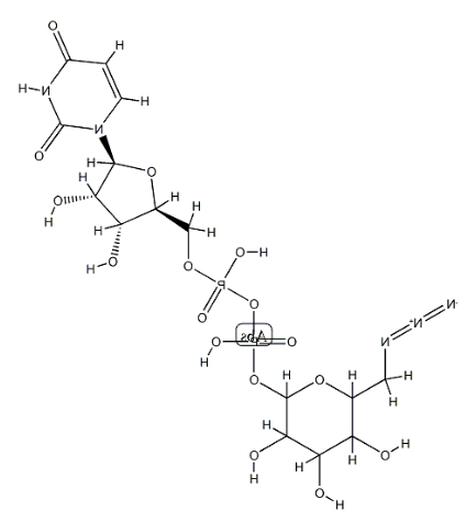 UDP-6-N3-Glucose