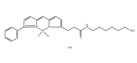 BDP-R6G-amine