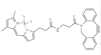 DBCO-BODIPY FL，CAS：2093197-94-3，DBCO-荧光染料