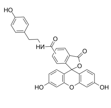 Fluorescein tyramide 