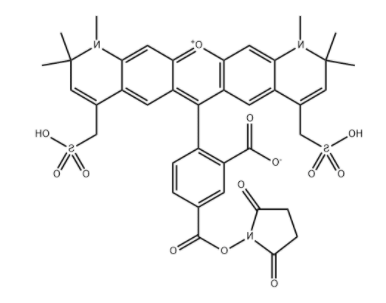 AF594 活性酯 