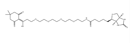 Dde-Biotin-PEG4，CAS号：2567570-42-5，DDE-生物素-四聚乙二醇