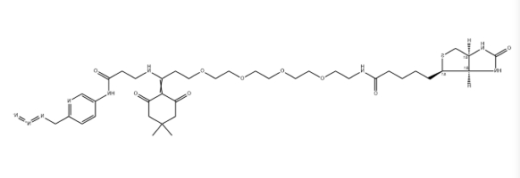 Dde-Biotin-PEG4-Picolyl-azide，CAS号：2055048-42-3
