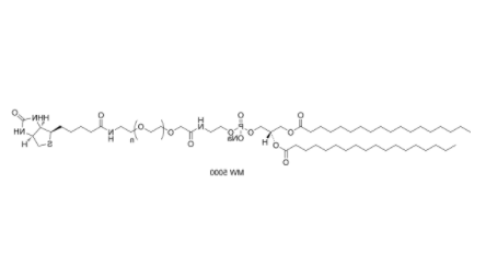 DSPE-PEG-Biotin (MW 1000) 