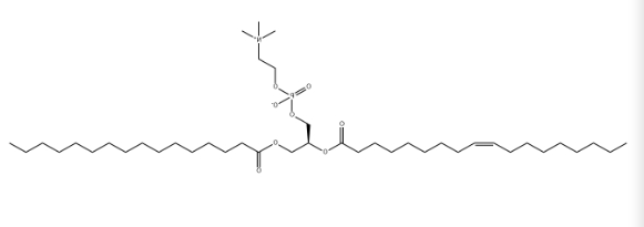 POPC，CAS：26853-31-6，1-棕榈酰基-2-油酰基卵磷脂.png