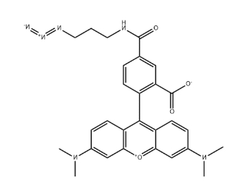 TAMRA azide，5-isomer，825651-66-9