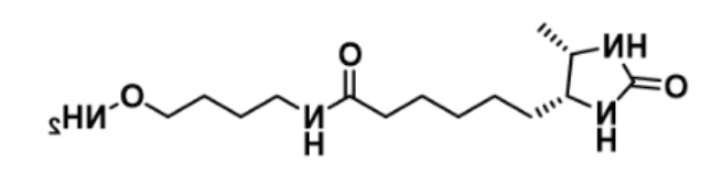 Desthiobiotin-C4-oxyamine