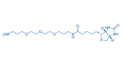 Biotin-PEG3-C3-NH2 