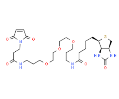 生物素-PEG3-马来酰亚胺	 