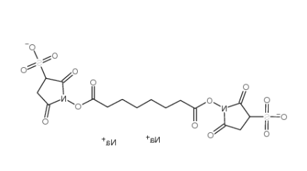 BS3 Crosslinker disodium 
