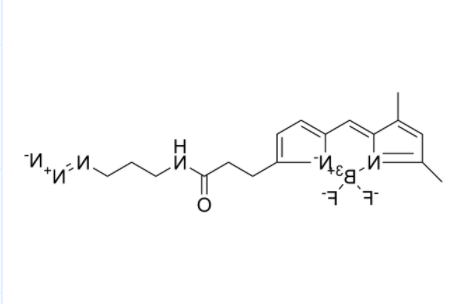 BODIPY FL azide 