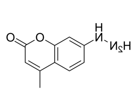 Coumarin hydrazine 