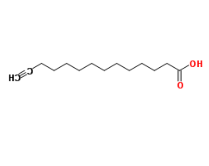 Alkynyl myristic acid 
