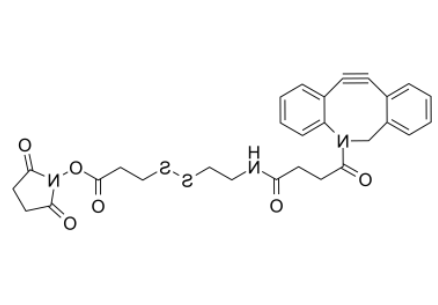 	DBCO-CONH-S-S-NHS ester 