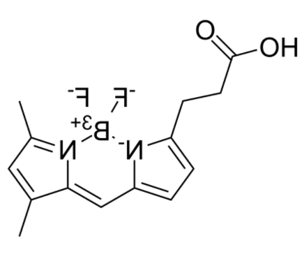 3-Bodipy-propanoic Acid 3-Bodipy-propanoic Acid