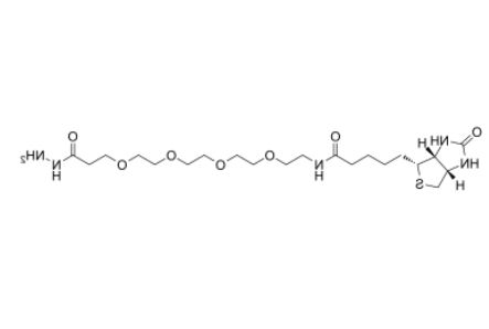 Biotin-PEG4-Hydrazide 