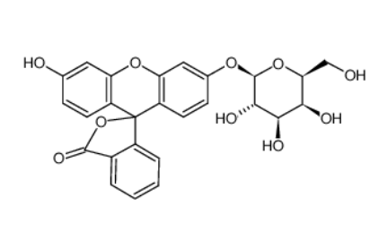 荧光黄单-β-D-半乳糖苷	 