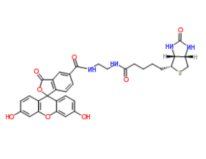 BIOTIN-4-FLUORESCEIN 