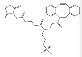 硫磺-二苯基环辛炔-NHS酯，Sulfo-DBCO-NHS-ester，1379761-19-9.png