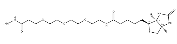 Biotin-PEG3-hydrazide