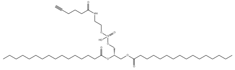 DPPE-Alkyne 