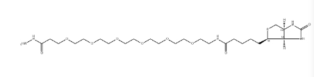 Biotin-PEG6-hydrazide