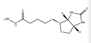 Biotin-hydrazide-HCl Biotin-hydrazide-HCl