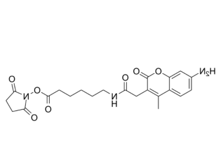 AMCA-X 琥珀酰亚胺酯	 