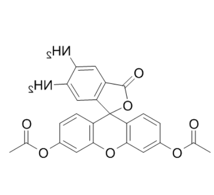 	4,5-二氨基荧光素二乙酸酯	 