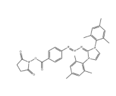 BB1-NHS ester 