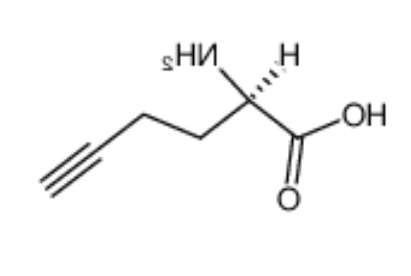 	L-Homopropargylglycine 