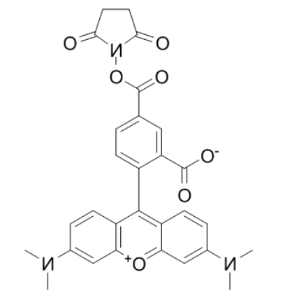 5-羧基四甲基罗丹明琥珀酰亚胺酯	 