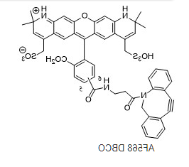 AF568-DBCO 
