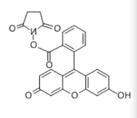 5(6)-FAM, SE