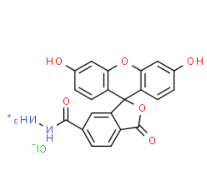 	FAM hydrazide 6-isomer 