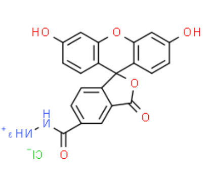 FAM hydrazide 5-isomer 